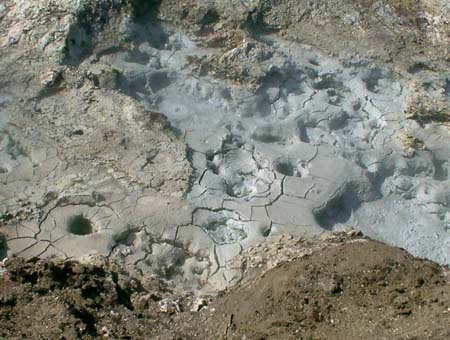 462_mudpots